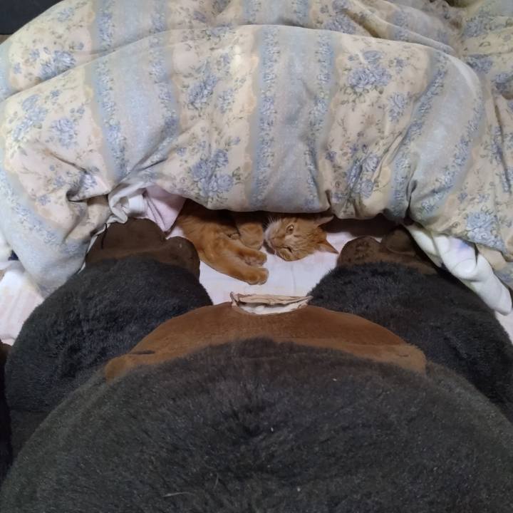 50765071 1057 4e17 9a83 6c1753172e4b 1666149562147