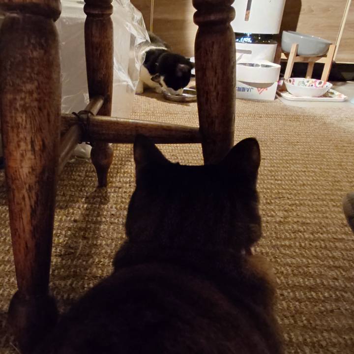 50765cc8 010f 4ff9 9d0c 8e711691c2b8 1764597562375