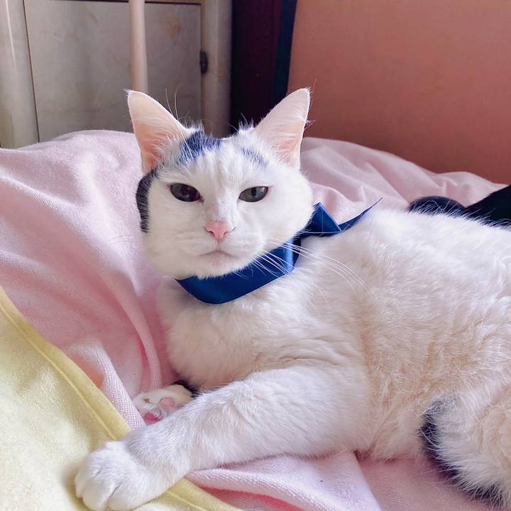 50767296 2193 4890 b2a7 b9b03351cbac 1681698140910