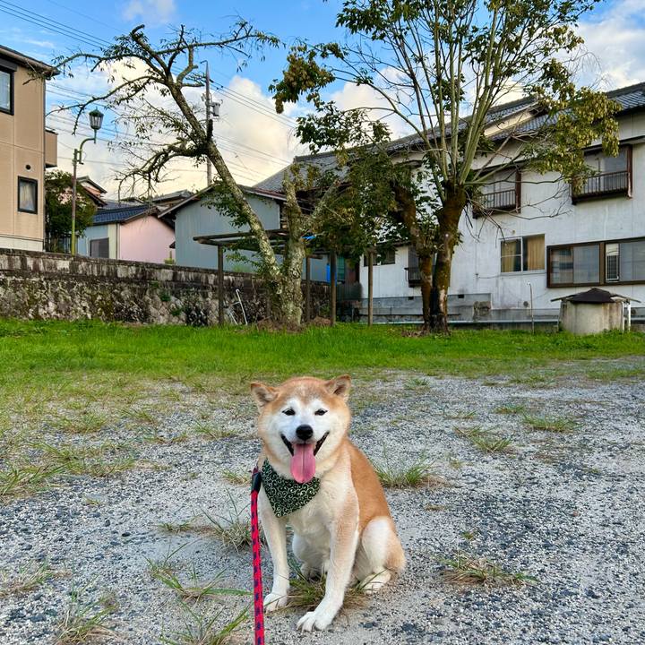 50767561 5a14 4ac7 9ea7 c41f4f2a510e 1726229566682