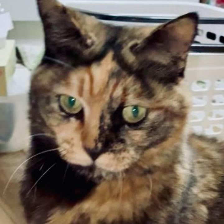 5076a8e9 aac0 4cb5 b33f dbf16929b37b 1773610085843