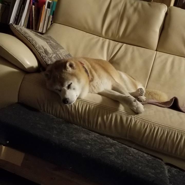 5076b46d ddd9 4e0a 8e95 50403bdf6cd1 1753094401878