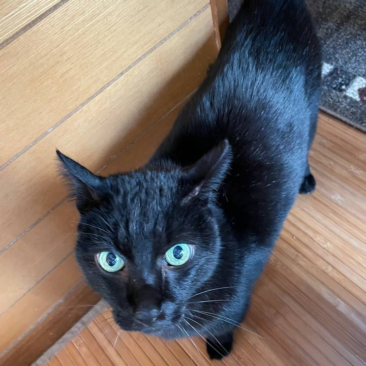 5076baf7 ebec 42af 8c79 570d35f3b589 1611969785128