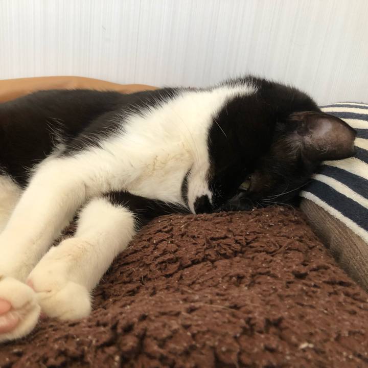 5076e16d 80cc 48cc b9e0 e3928a13ef3f 1653682691622