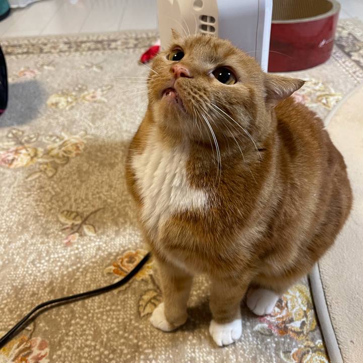 50770dfa 7ce4 432c 9dec 6356fcebfff2 1643464516765