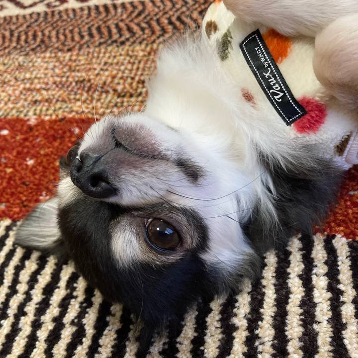 507777d4 8175 4ef4 9e64 92597438f11d 1671377043591