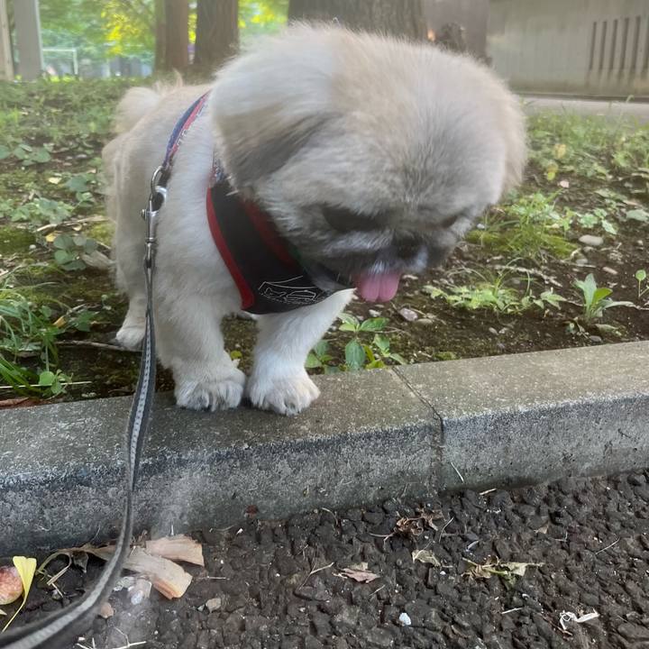 5077b956 d0f1 4e2c 8687 89395ed622fd 1721599013704