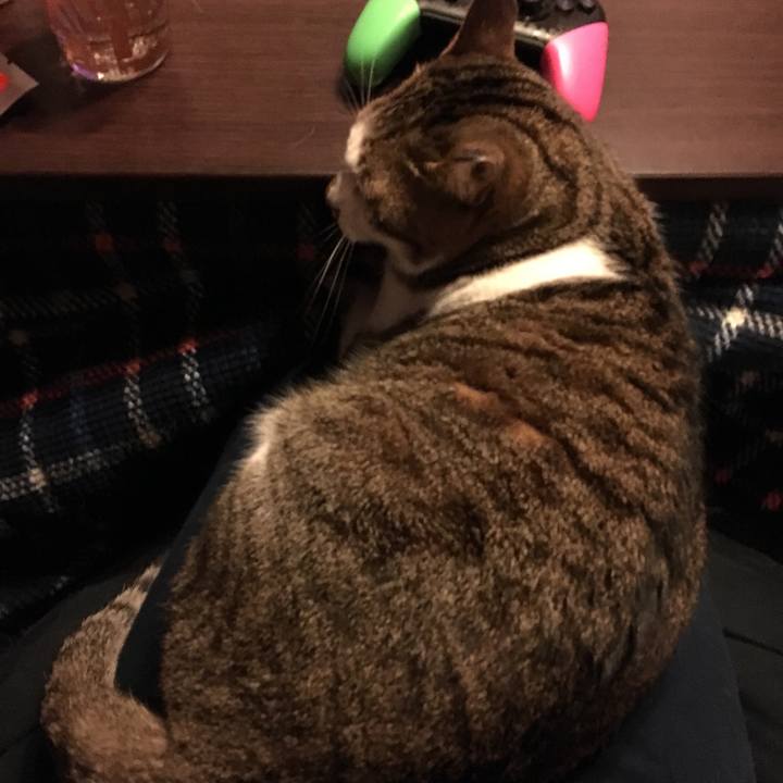 507809d2 683c 4abf a661 e1177a7eba1f 1512996284073