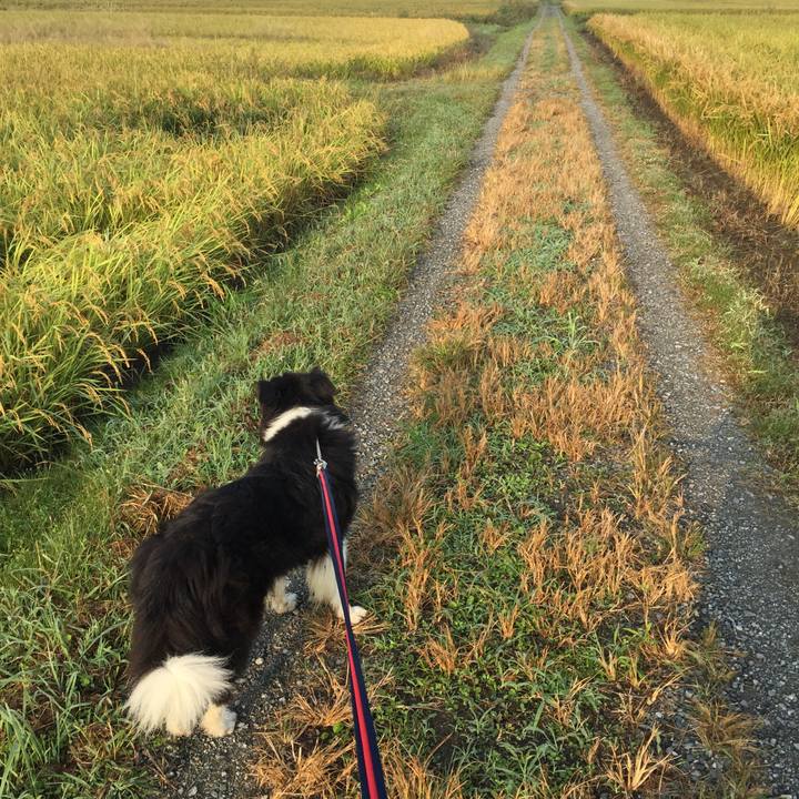 50780e7d ab36 4f82 9e3e 39fe7b70aea9 1570576771420