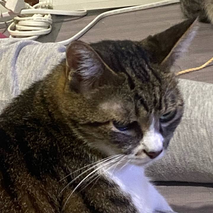 50789d72 8a74 41ca b2a4 c2288c2674e5 1662224001670