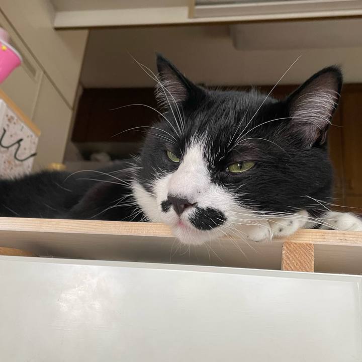 5078a9a1 761b 4c98 afa4 642014cc7b14 1657152547893