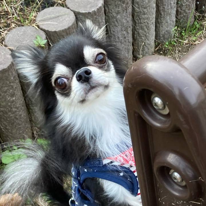 5078b740 3fd7 4229 b0e0 a34c7faff88d 1666446534231