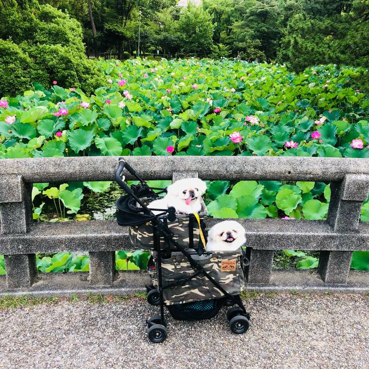 5078ddf9 a609 4d60 a576 297bb926ccfc 1626308509431