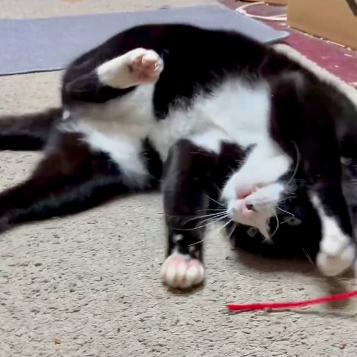 5078f1b6 3a65 442d 92fa 2d199edd9468 1771080675762