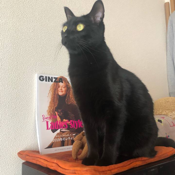 50791679 1d3d 470e bc41 9d72e4933451 1552722048676