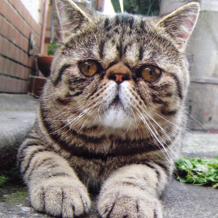 507946b3 66ad 4d24 aab9 7a0a4c3644d7 1519255518497