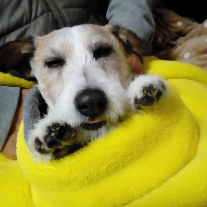 50794bc7 57e6 4ee9 bab9 a482edc873ed 1549797783446