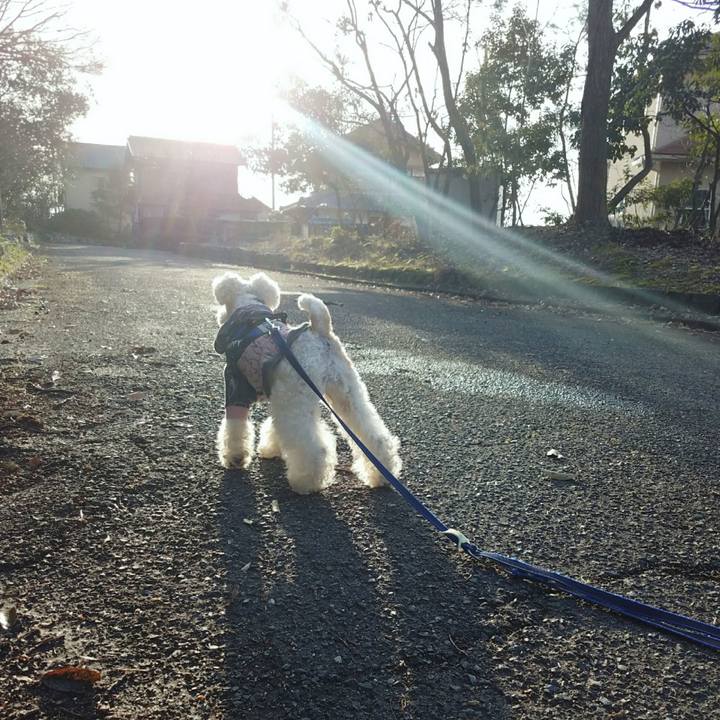 507954a7 91c5 4857 a7ce 5a47c2f0bfcd 1521793233319