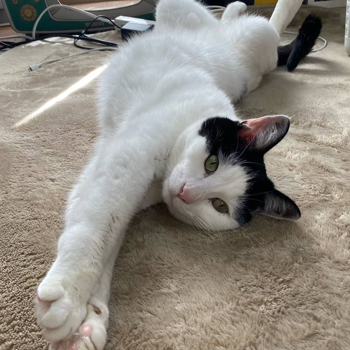 50797622 f44f 4468 b5e3 c610dbac69da 1671378568096