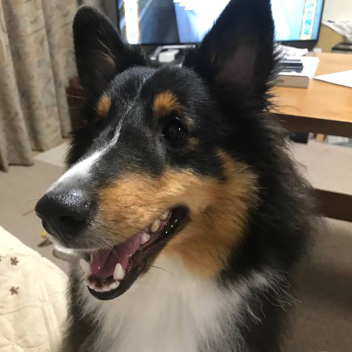 50799cea afed 4251 8d36 7e506a8e267c 1534888202100