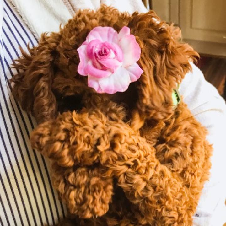 5079bdd6 68af 4b01 86e8 fb9ce12b4dc7 1585869751836