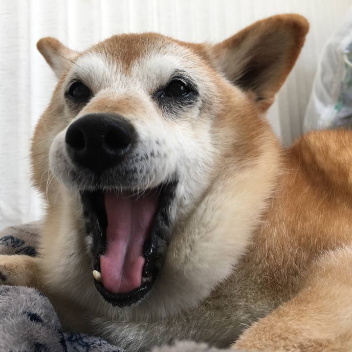 5079cb37 3e46 4569 9a65 272cd87b0fc7 1519871016278