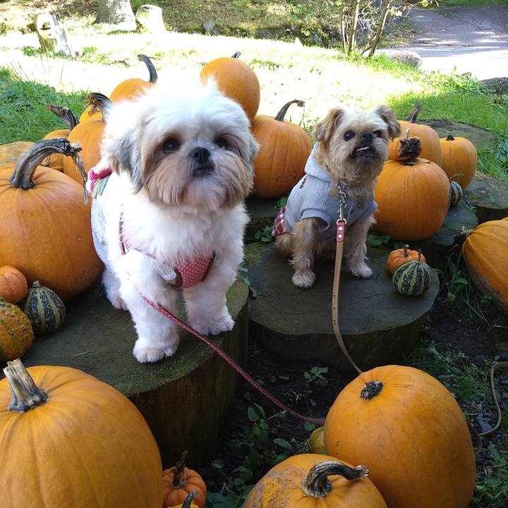 5079cc47 2c75 409c 9358 932f33917b1d 1603678849715