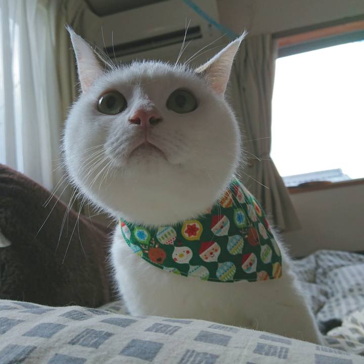 5079d7ba 92b9 4e82 a5cc ac00c979fbff 1511194076595