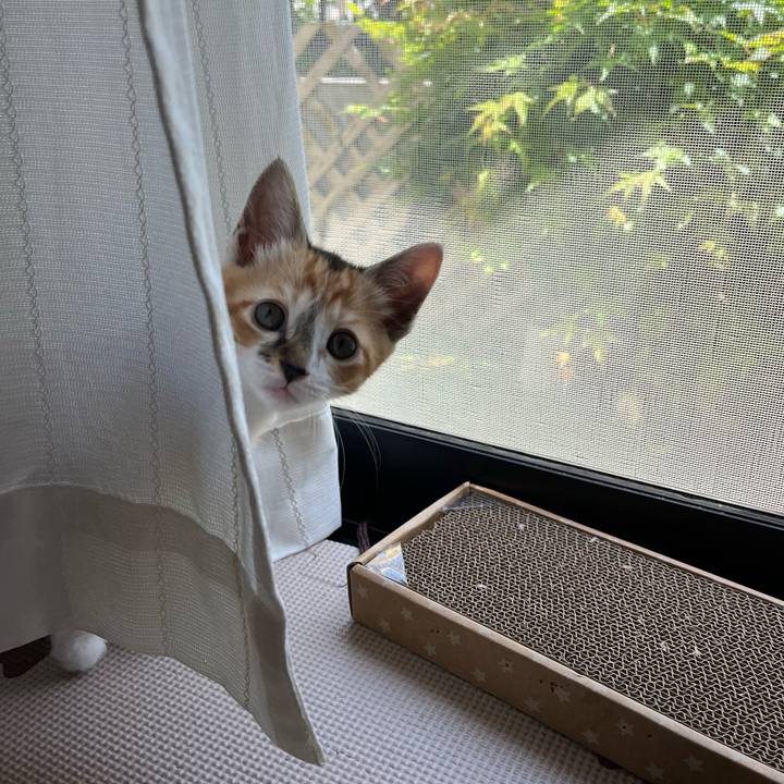 5079fb2e 83e3 4af4 af8f 690c2588c241 1651914009240