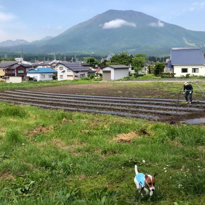 5079fd0a b433 47f5 a31d 091d4990da28 1527467893534