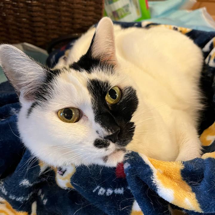 507a1215 e7d3 4b16 8d3f 3b6f730efbf5 1772113297280