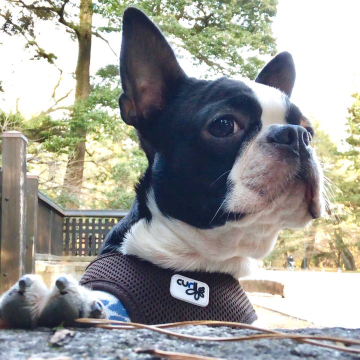 507a5aef 7d48 4b40 bd53 2123f707e0f8 1513756614505