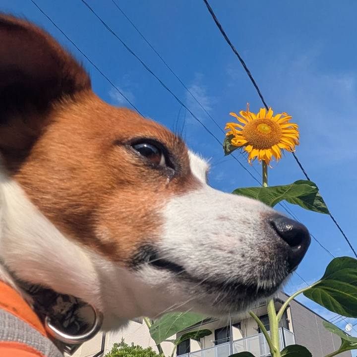 507a6091 1e61 4334 b08c 621e553059ec 1754718252511