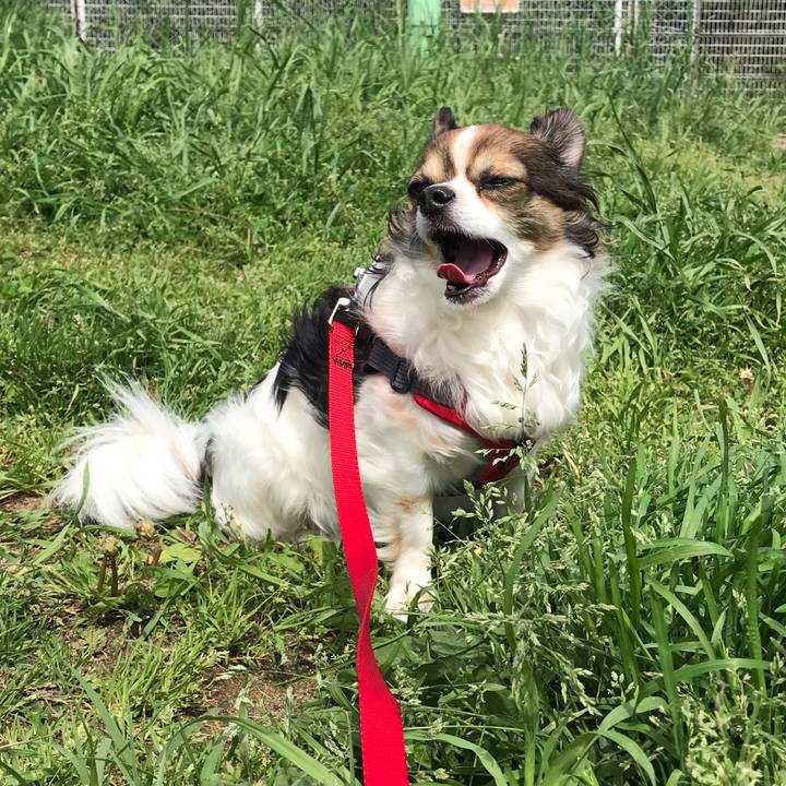 507ad0fe dc63 4991 8591 d1755bdfe5bf 1557019017068