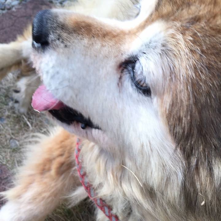 507ad75c 2863 4684 882c 25ae3ab3048b 1594566117207