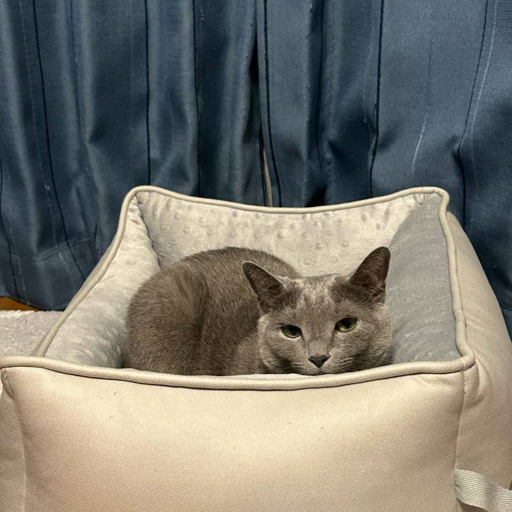 507ae291 e96d 4b77 a753 2a8a9ea3c92e 1757636001719