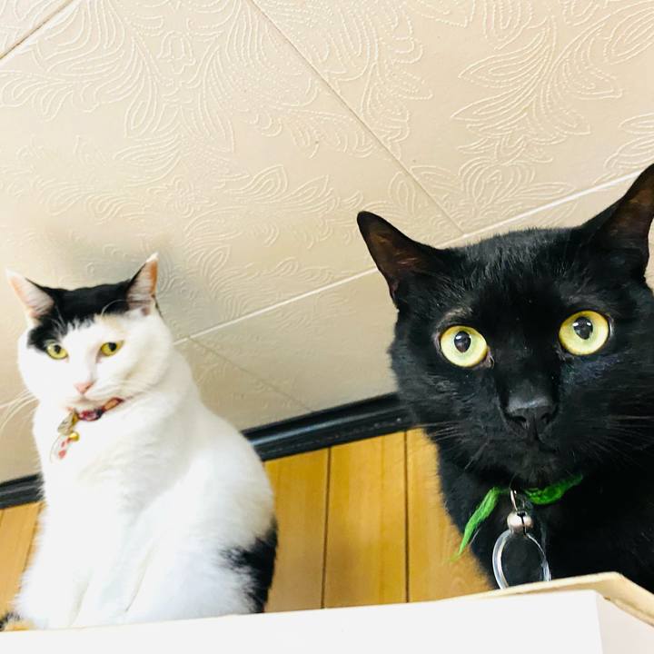 507af137 4921 4a2b ab0f e3b8ced40403 1716638531061