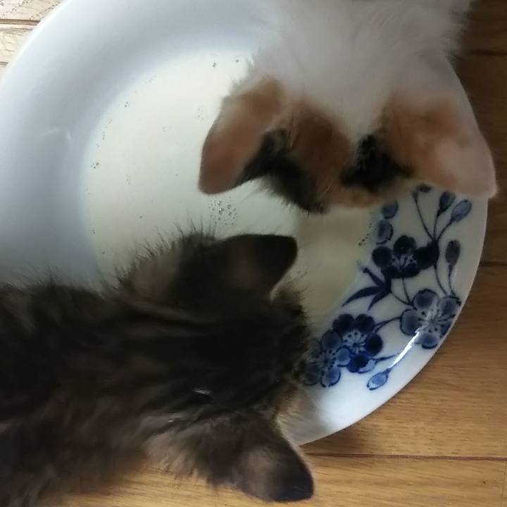 507b020e a14a 42c3 a2ce 5205c28d4e29 1632135530382