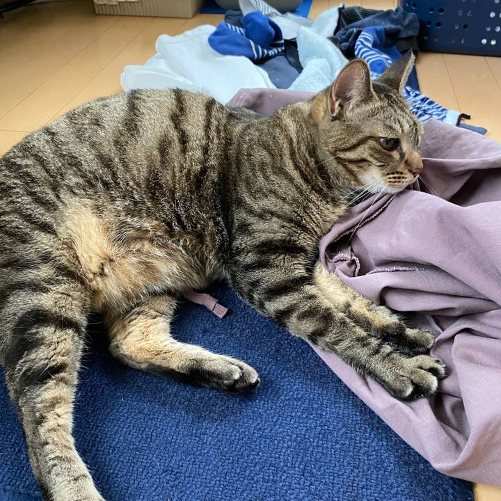 507b228f 9173 44bc 985f 1b56e4101181 1660662623059