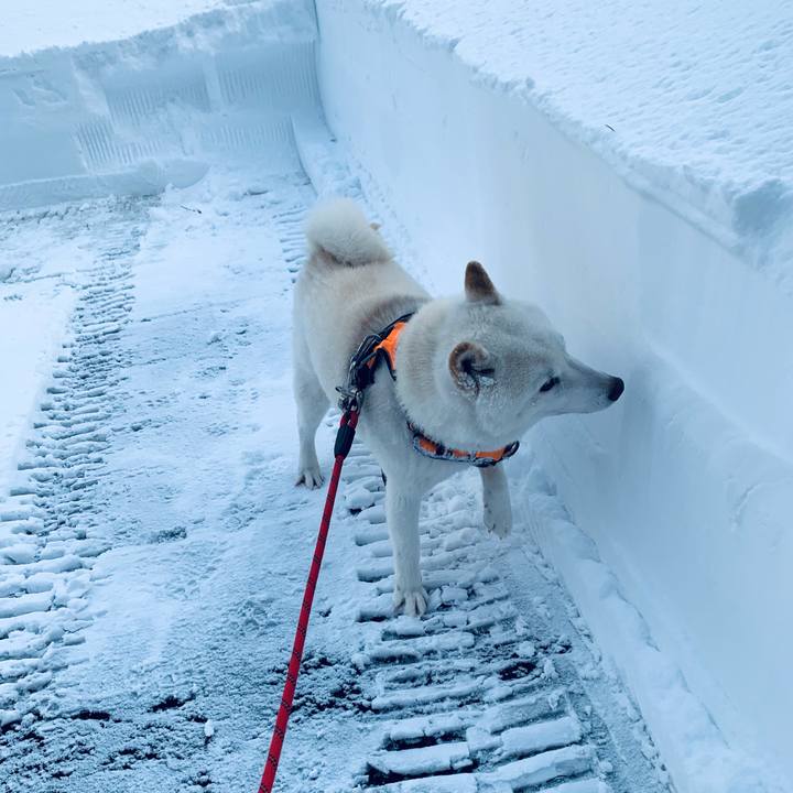 507b3dd7 bc86 4af6 a800 d67ad0a07722 1640265112084