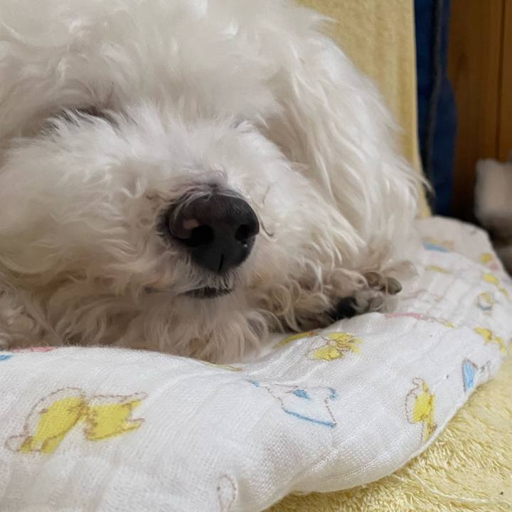 507b6a83 f5a2 4718 89ac d7b2bd5d58da 1651988201446