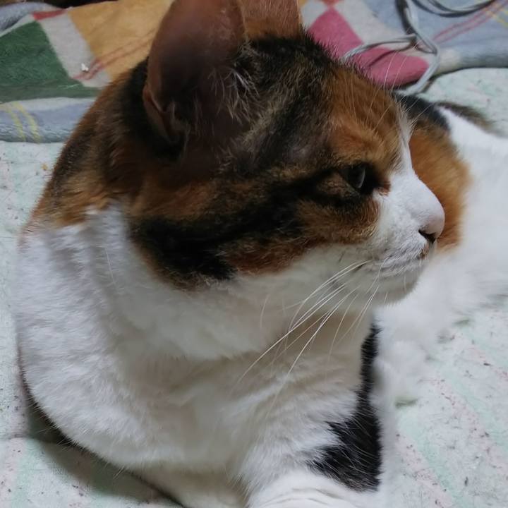 507b88e0 84a9 422c b2dd ce03ad3d783d 1563486459416