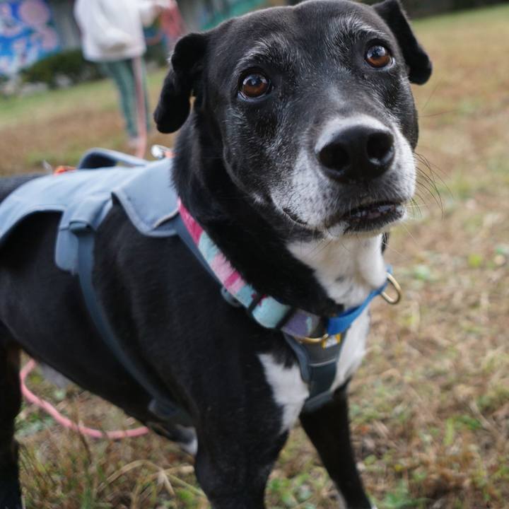 507b8a6e ca56 455e b4c2 f799f034fd36 1762301766845