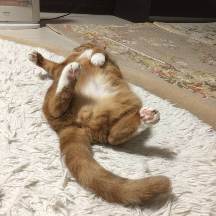 507bb04e fcce 43a2 8de1 5d5c114b0cf2 1581945816852