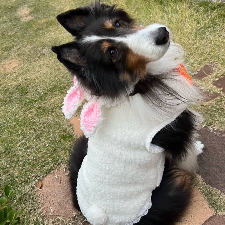 507bf3da 5432 4469 adc4 84f8b6f3fa31 1670952070366