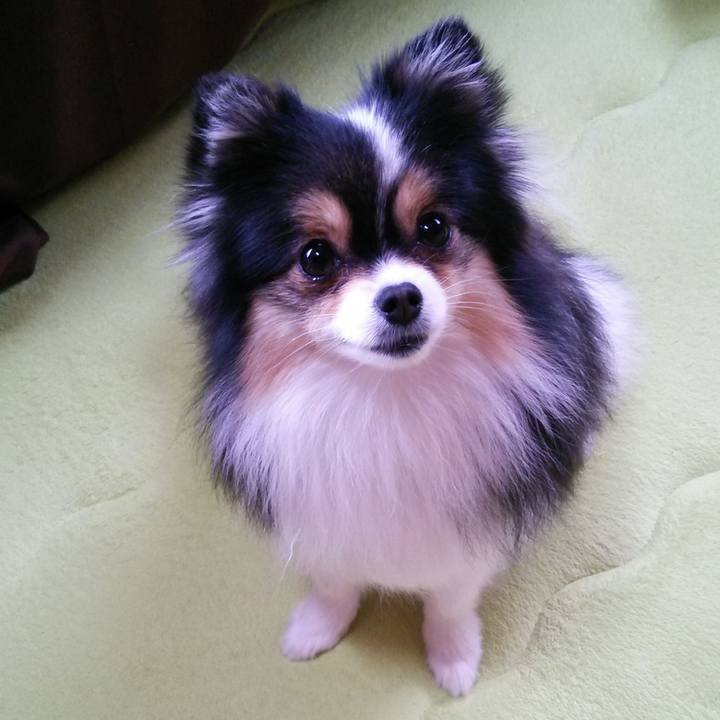 507bfbc0 afce 449a a4b5 dd8f4ab6baeb 1520641703602