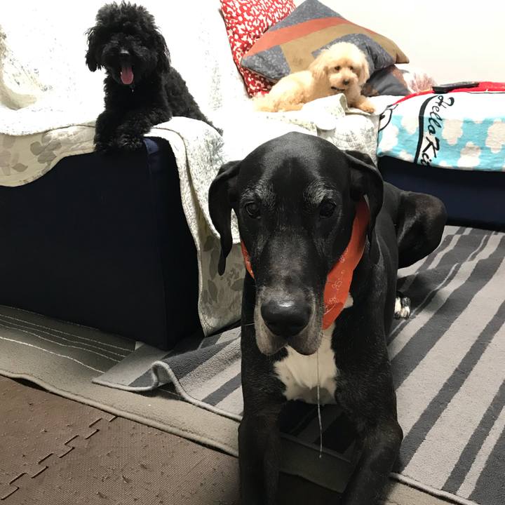 507c348c f9d5 4763 bce1 bde5c55a3ce0 1535927414407