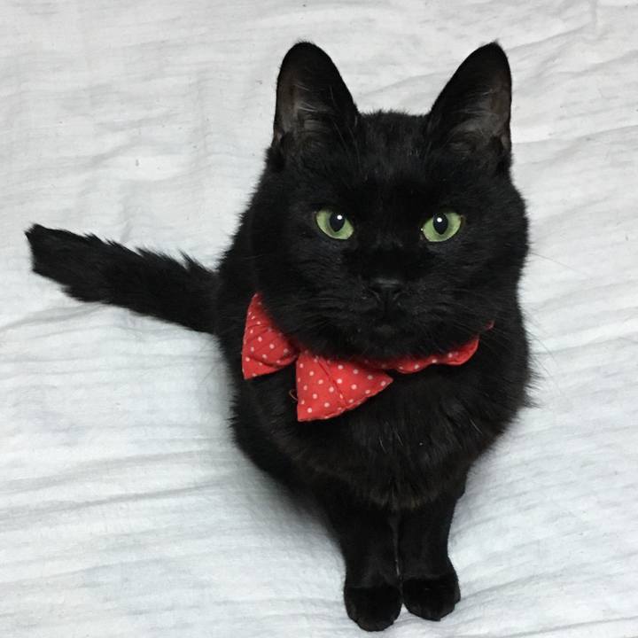 507c6cd0 c91b 44a3 af43 4d3a91f4c4ae 1552900175932