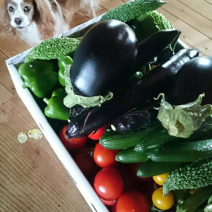 507c814f 81b1 4774 a409 54861bcb2b25 1533213325958