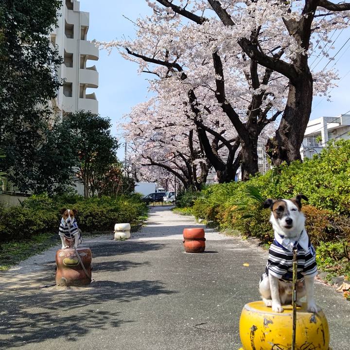 507c8f36 836d 4854 be43 aab2c8c1e1c1 1616810076297